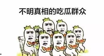 何为吃瓜群众,网络时代的旁观者与参与者