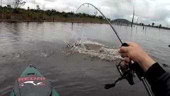 比目鱼娱乐,揭秘影视产业的璀璨星河